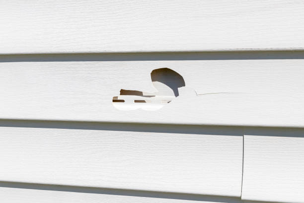 Reliable Hanceville, AL Siding Installation & Repair Solutions